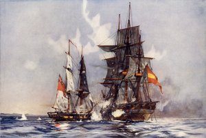 Die schnellen Erfassung des Gamo